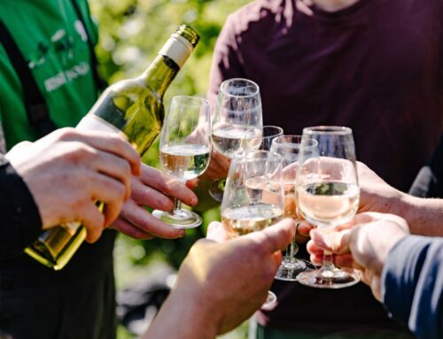 CAVES OUVERTES AU DOMAINE