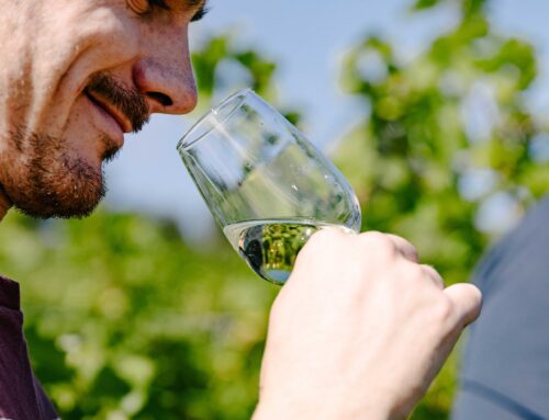 CAVES OUVERTES VAUDOISES